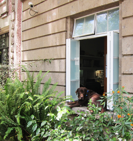 AHL_condesa_small