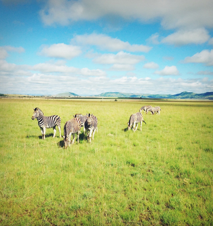 nambitiplains_ahotellife_small