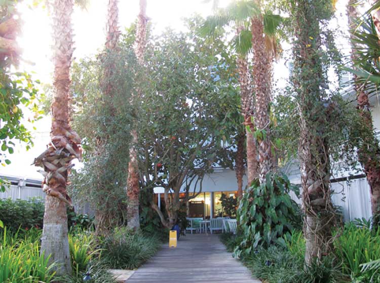 The Standard Miami Exterior Deck backside. A lovely place to begin your day with breakfast and the New York TImes.