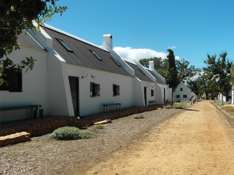 Babylonstoren Golden tree lined walkways separate each building.