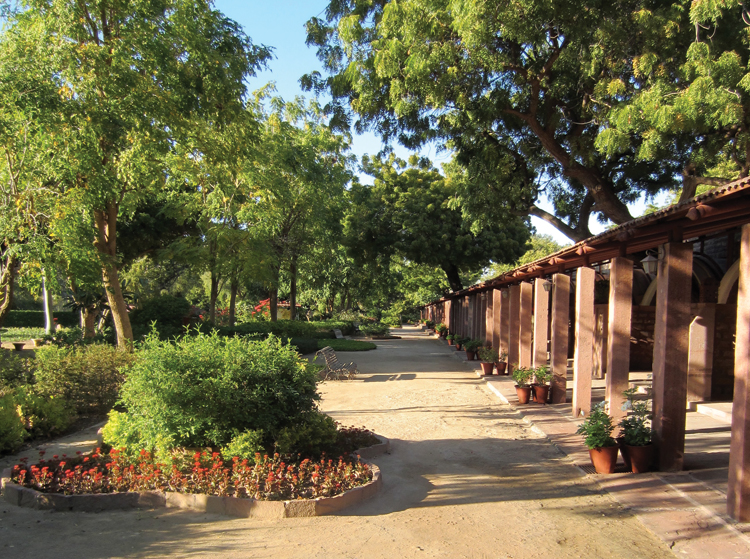 Bal Samand Lake Palace The path leading out of the rooms towards the trails. Massive peacocks roam the place and they say monkeys as well. We did see an ancient banyan tree full of giant bats.