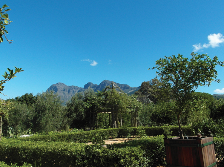 Babylonstoren Look at the sky! For acres around the blue skies compliment the lush green vistas under Simonsberg Mountain.