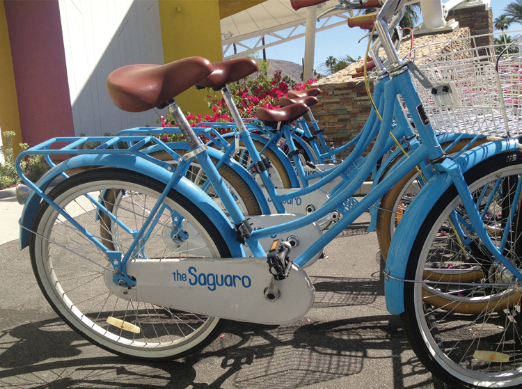 The Saguaro Bikes.