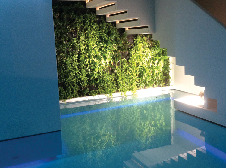 Conservatorium Hotel Plant wall backdrop at the pool. <br /></noscript>They have an amazing hammam too. 