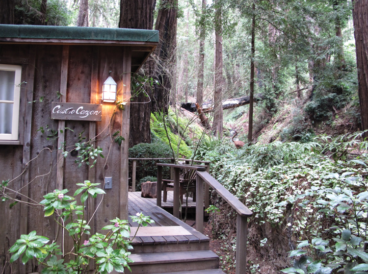 Deetjen’s Home sweet cabin...nestled under towering redwoods next to a lovely little stream. Castro Cabin is the one standalone room on the property. 