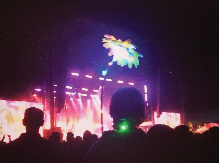 First night…Blur…Neon Flower Man.
