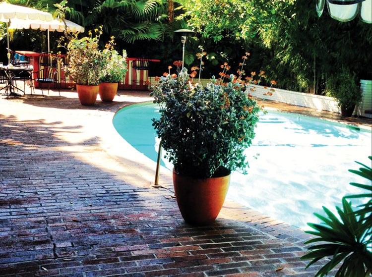 Chateau Marmont Great outdoor pool that’s heated for an early morning swim.