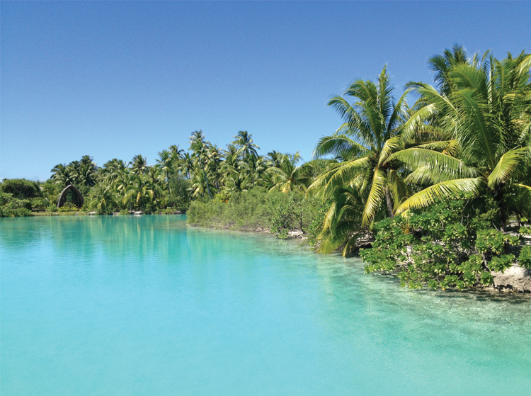 Four Seasons Bora Bora The private lagoon is a mini ecosystem <br /></noscript>with a fair amount of life in it. 