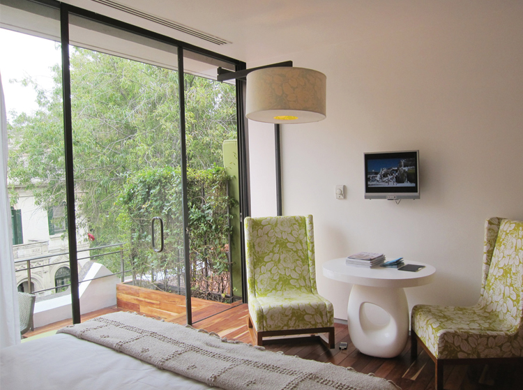 Condesa DF View from bed, terrace and sitting area.