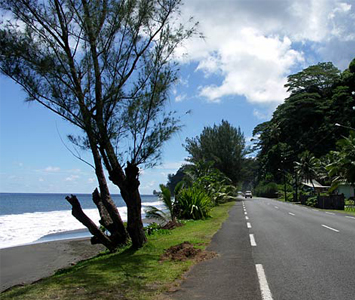 Take the complimentary boat to mt. otemanu and rent a scooter to drive the circumference.