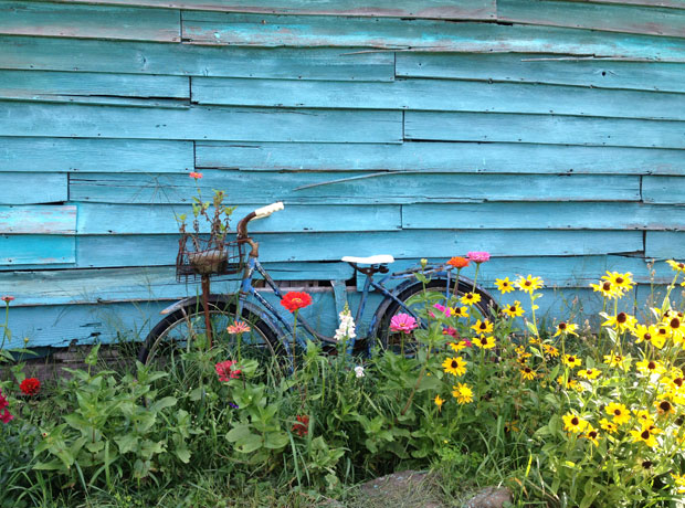 Turquoise Barn The coolest old bike, Turquoise Barn,<br /></noscript> incredible flowers...all so perfect.