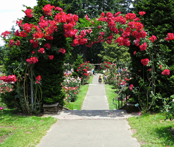 Stroll around the park and stop <br></noscript> to smell the roses.