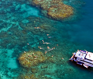 Can't miss the Great Barrier Reef, the largest reef system in the world.
