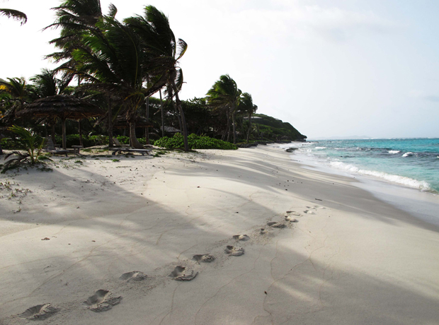 Petit St. Vincent Footsteps from a blissful early morning beach walk. 