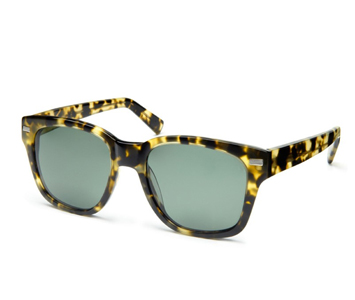 Warby Parker Everett sunglasses