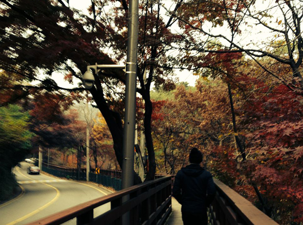 Hotel La Casa These gentle hills turn dizzying colours in autumn. Enough to make your instagram explode.