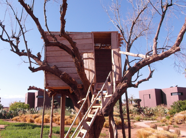 Fellah Hotel Tree house! In fact Fellah has live animals and native plants dotted all over the tranquil gardens. 