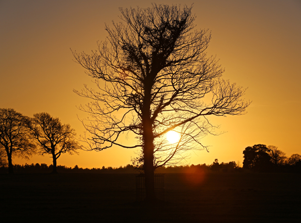 The Gunton Arms A stunning Norfolk sunset. 