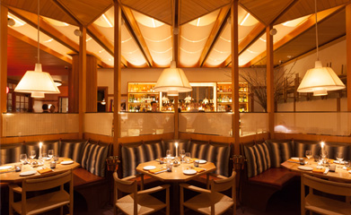 Welcome Narcissa at The Standard East Village 