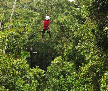 Zip Lining