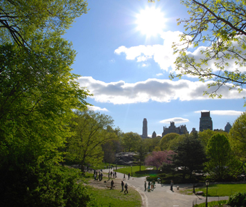 Just a short walk, but worlds away from Times Square.