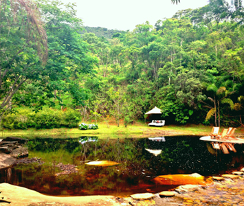 Experience the amazing fresh water while drinking a caipirinha.