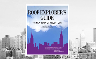 Explore the city above the city with this amazing guide to NYC rooftops! 
