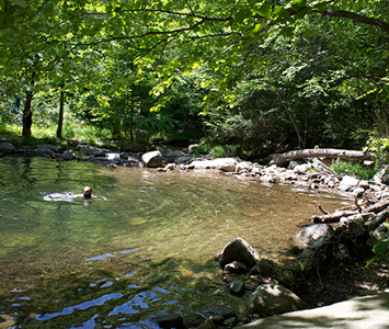 Find a swimming hole to cool off in