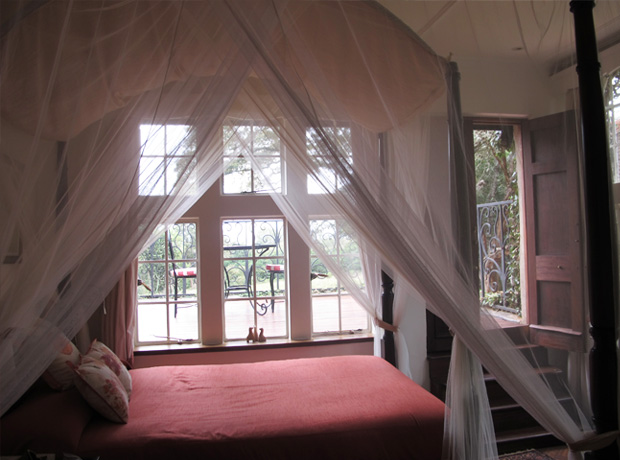 Giraffe Manor View of the four post bed with steps up to the balcony where you'll awake for a  face to face early morning visit with the giraffes. 