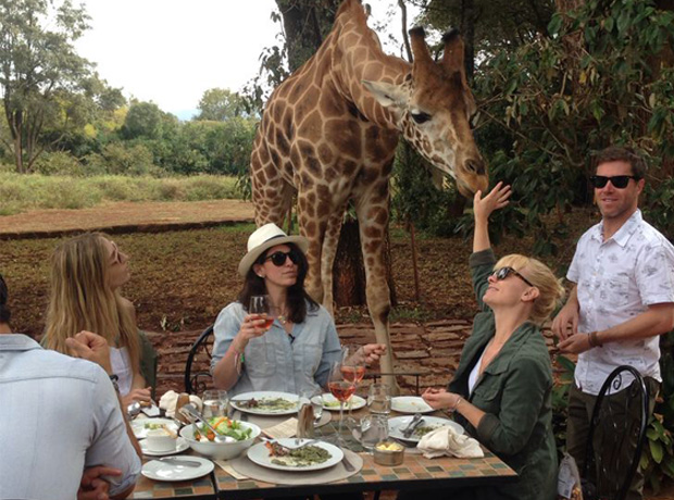 Giraffe Manor A classic you can't sit with us moment. 