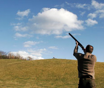 The hotel can arrange real or clay-pigeon shooting. 