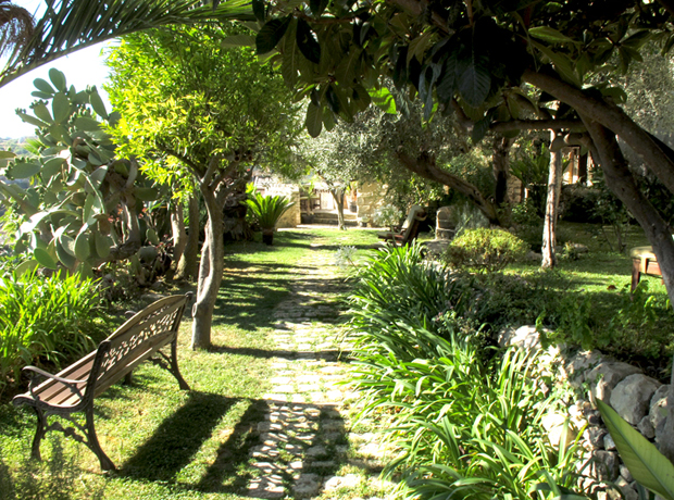 Casa Talìa Sweet garden overlooking the city hills. There’s a fig tree in there.