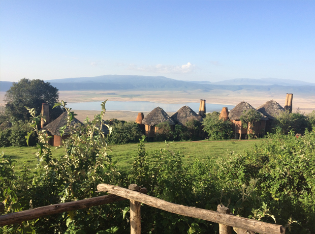 Ngorongoro Crater Lodge The lovely lineup of stilted banana thatch suites, each facing epic views of the crater. 