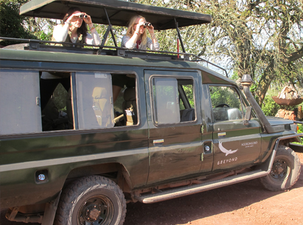 Ngorongoro Crater Lodge Here's frick and frack looking out for a cheetah attack. Daily game drives into the crater to visit your 25,000 wild neighbors are the activity of choice. You'll see everything from wildebeest, highly endangered black rhinos, cheetah, lion, and flocks of thousands of flamingos! 