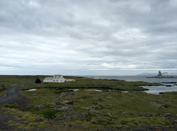 101 Hotel Reykjavic Some of the natural beauty. It gets better the farther you go from the city.