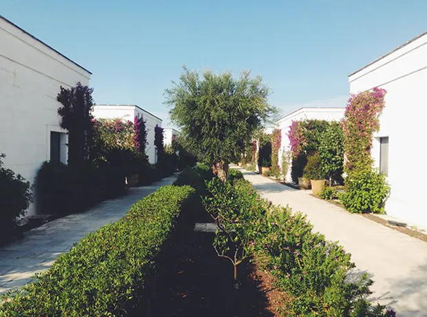 Masseria Torre Maizza The hotel rooms all lined up.