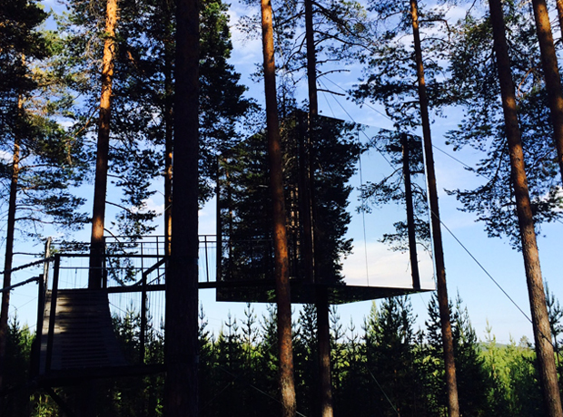 Treehotel Can you see the forrest from the trees? Simple, ingenious, semi-invisible mirror-camouflaged exterior of the Mirrorcube.