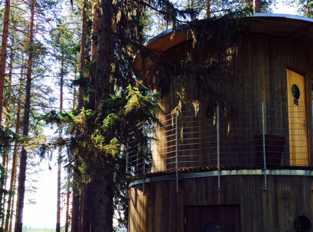 Treehotel Relax in The Tree Sauna. Ancient Greek philosopher Plato saw the connection between trees and steam baths - together they provide the stimulus for philosophical thoughts and ideas. 