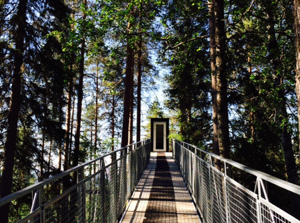 Treehotel The little footbridge that joins the forrest with the cabin's rooftop entrance. 