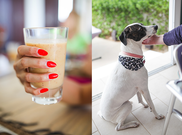 Las EsQuinas Restorative fruit smoothie. Pirate, the sweet guard dog.
