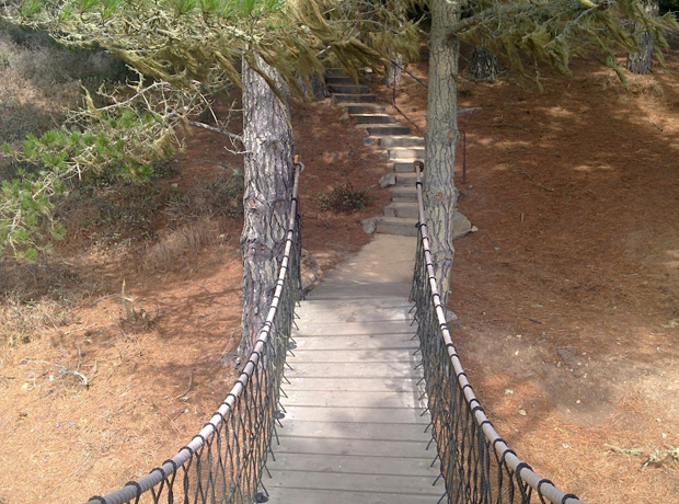 Treebones Resort The walking bridge to the treehouse.