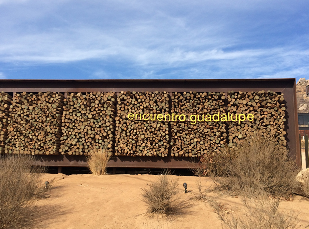 Encuentro Guadalupe Antiresort The entry.