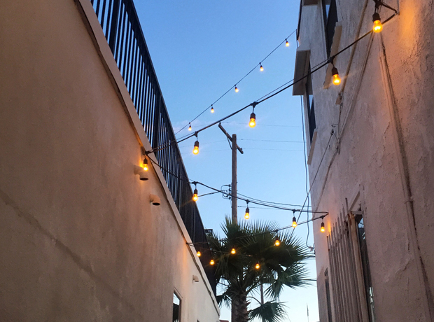 Hotel Covell The fairylit ​pathway to the rooftop terrace.