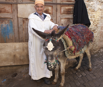 The medina is an overwhelming maze that one could get lost in for days; schedule a guide with the hotel so that you make it out alive (or in time for your flight.) The medina is full of craftsmen who make their goods by hand – everything from hand carved knives to vividly woven rugs -- but be ready to barter!