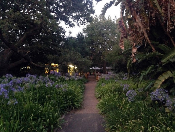 Spier The stunning gardens of Spier, near the Eight restaurant. Very pleasant flower stench.

