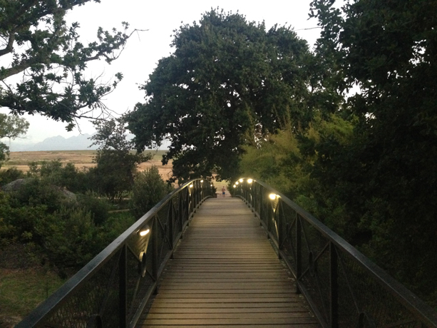 Spier Bridge over the Eerste River. Well worth a dusk-time  walk. 