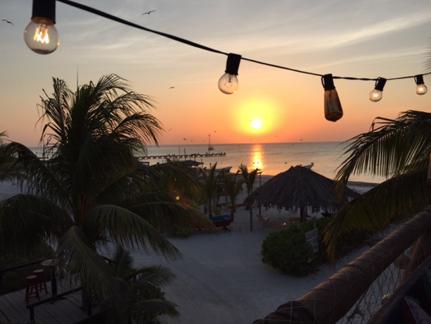 Casa Las Tortugas Sun setting under market lights from the rooftop lounge.