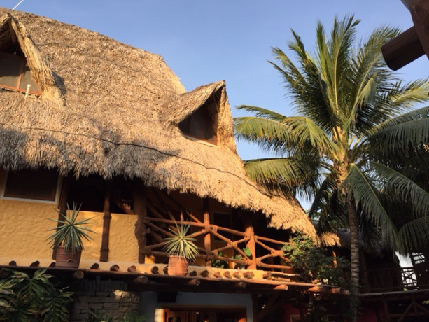 Casa Las Tortugas Thatched roofs and ferny greens.