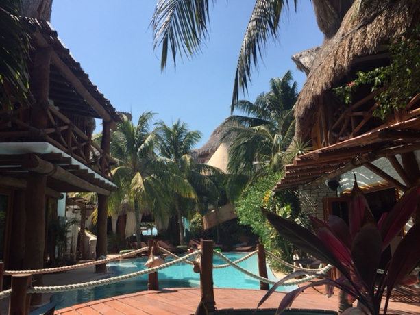 Casa Las Tortugas The supple greenery surrounding the pool at CLT.