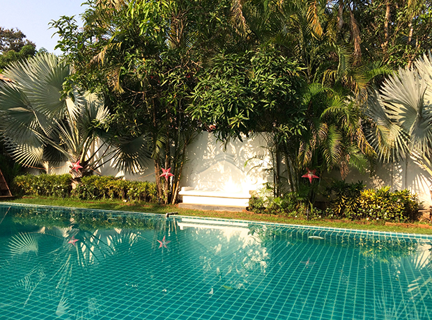 Siolim House Tropical pool. 
